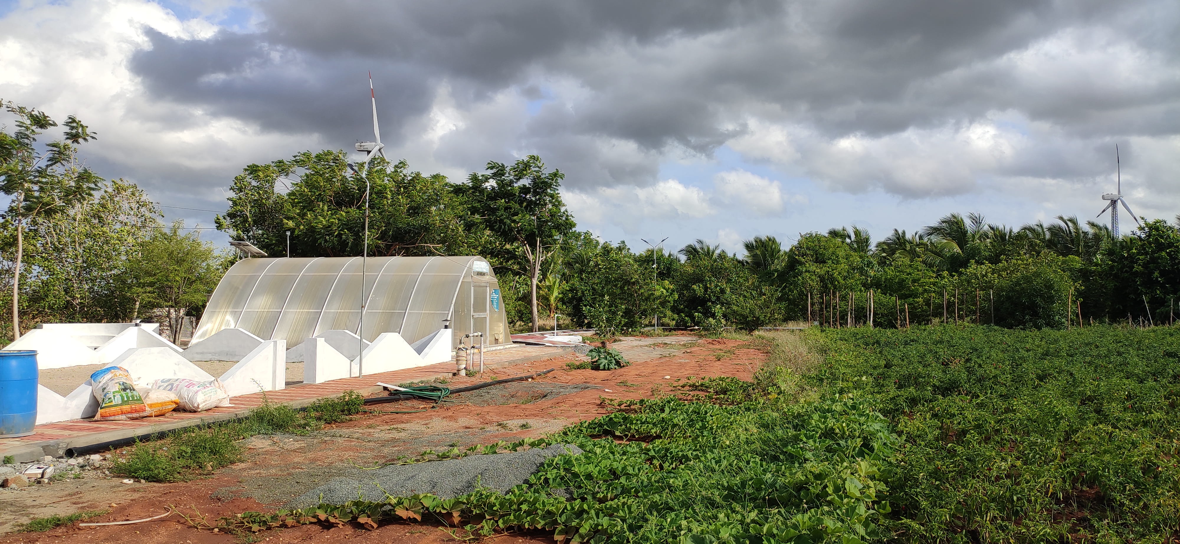 Organic Farms